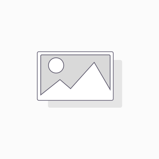 N- (9-Fluorenylmethoxycarbonyloxy) succinimide 98%