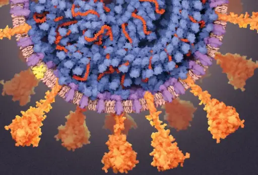 [C00183] SARS COV2 NP-mAb